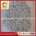 Sunflower Seeds Kernels Confectionery Grade